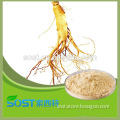 High quality and Pure Natural herbal extract Ginseng Extract